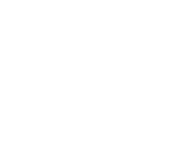 宮崎風俗ヘルス・マットヘルス・M性感ヘルス  『ARIEL アリエル』